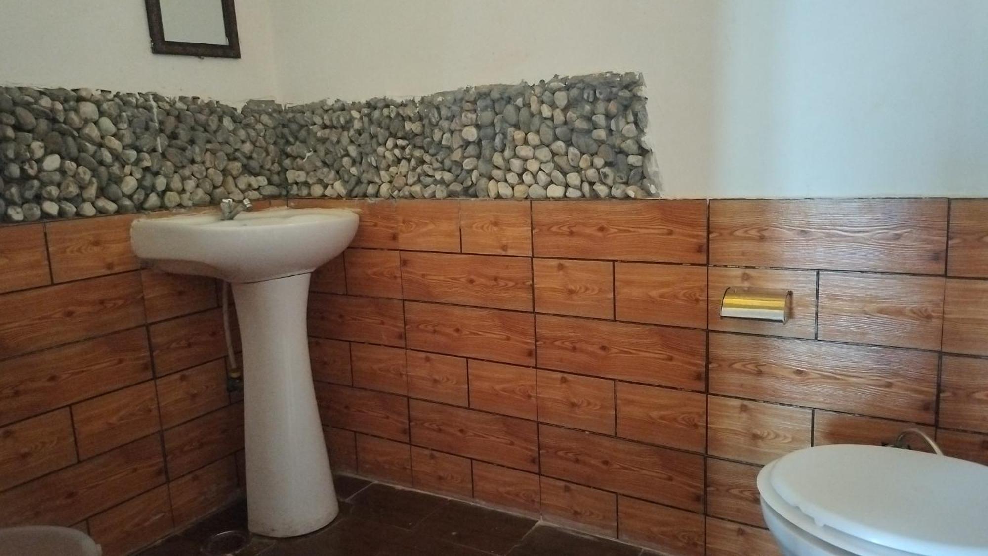 Tirthan Ecostay Gushaini Εξωτερικό φωτογραφία